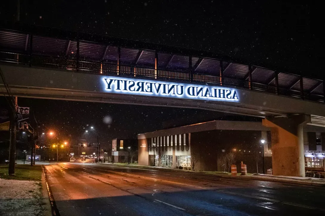 Winter scene - pedestrian bridge